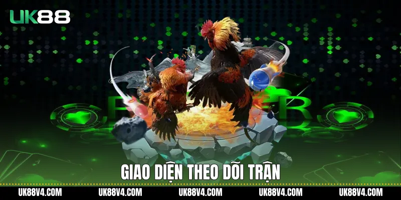 Đá Gà Cựa Dao UK88 Với Trải Nghiệm Chuẩn Quốc Tế Giao diện theo dõi trận