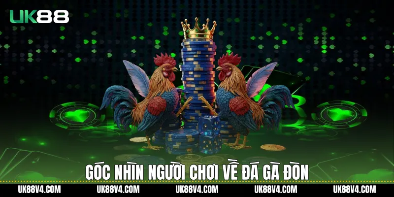 Đá Gà Đòn Trực Tiếp UK88 Và Trải Nghiệm Theo Dõi Ổn Định Góc nhìn người chơi về đá gà đòn