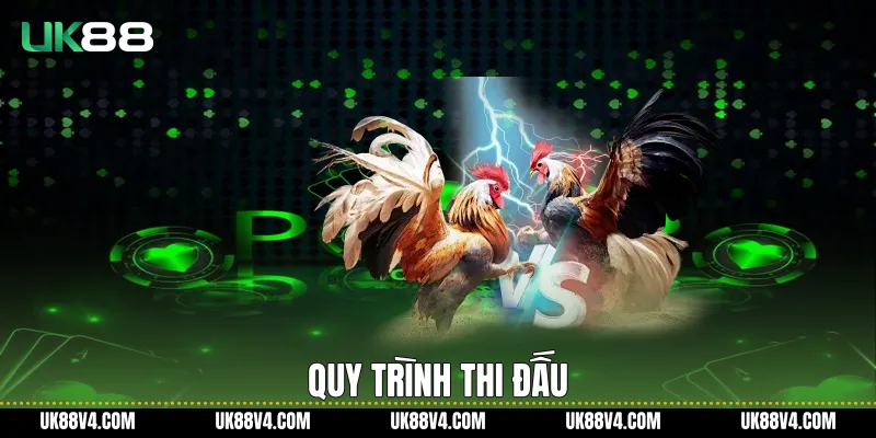 Đá Gà Cựa Dao UK88 Với Trải Nghiệm Chuẩn Quốc Tế Quy trình thi đấu